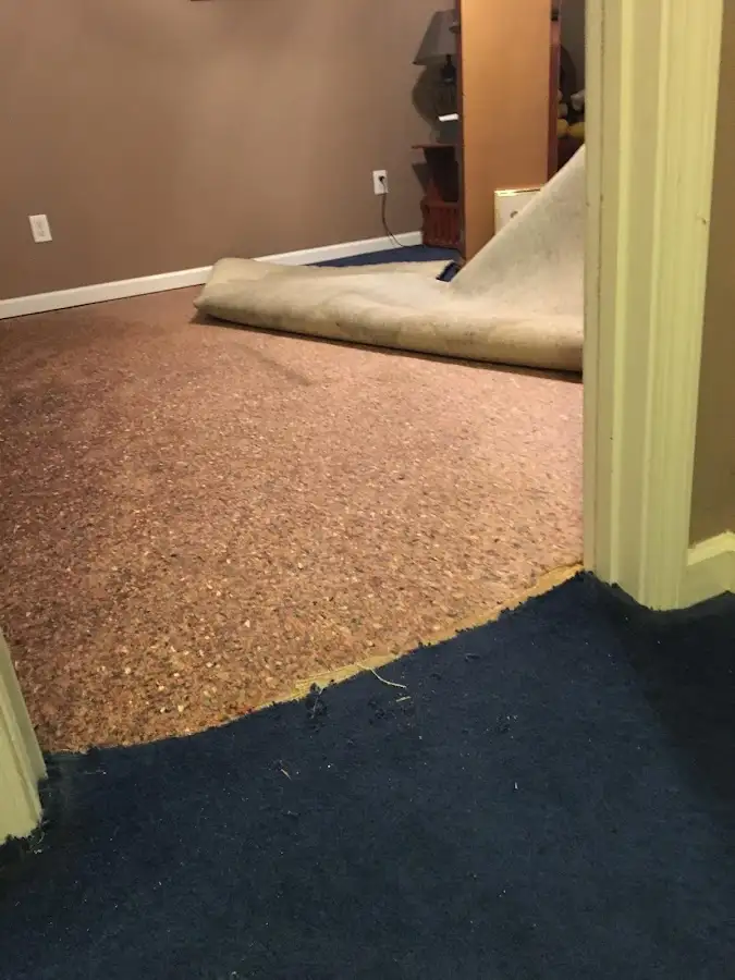 Carpet pad removal revealing water damage during Water Mitigation Services in Ivins