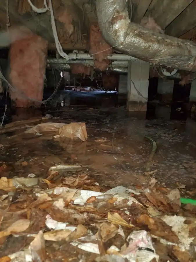 Crawl space flood assessment for Leak Detection & Repair in Ivins