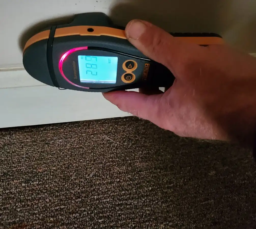 Moisture detection at baseboard during Sewage Cleanup & Sanitation in Ivins