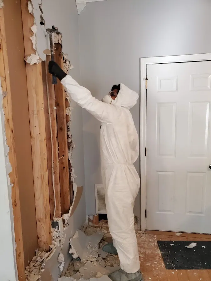 Mold Remediation & Removal in Ivins, UT